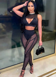 Sexy See Through Sleeveless Cut Out Crop Top And Pant 2 Piece