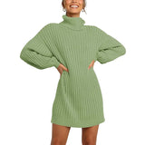 Toloer And Winter New Women's Turtleneck Medium Long Sweater Sweater