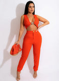 Sexy Sleeveless Crop Top And Pant 2 Piece