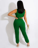 Sexy Sleeveless Crop Top And Pant 2 Piece