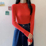 Turtleneck Sweater Winter Pullover Knitted Basic Top Elastic Fall Slim Ladies Jumper Casual Long Sleeve Female Sweater-Outfit