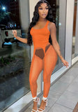 Sexy Sleeveless High Waist Solid Mesh Skinny Two Piece Pants