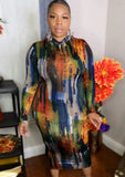 Plus Size Print High Neck Long Sleeve Long
