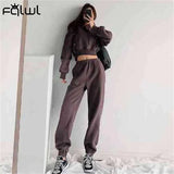 Winter Streetwear Two 2 Piece Set Sweatsuits For Tracksuit Women Long Sleeve Hooded Top Baggy Blue Pants Matching