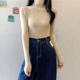 Turtleneck Sweater Winter Pullover Knitted Basic Top Elastic Fall Slim Ladies Jumper Casual Long Sleeve Female Sweater-Outfit