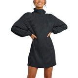 Toloer And Winter New Women's Turtleneck Medium Long Sweater Sweater