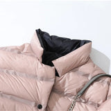 90% Down Jacket Double Sided Stand Collar Female Coat Solid Single Breasted 2020 Winter Fashion Casual Lady Short