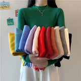 Turtleneck Sweater Winter Pullover Knitted Basic Top Elastic Fall Slim Ladies Jumper Casual Long Sleeve Female Sweater-Outfit