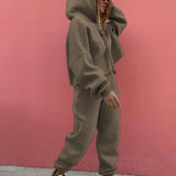 Autumn Winter Two Piece Set For Women Tracksuit Harajuku Hooded Sweatshirt And Elastic Waist Long Pant 2021 Solid