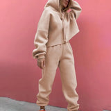 Autumn Winter Two Piece Set For Women Tracksuit Harajuku Hooded Sweatshirt And Elastic Waist Long Pant 2021 Solid