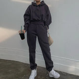 Suit Winter Spring Solid Casual Tracksuit Women Fleece 2 Pieces Set Sports Sweatshirts Pullover Home Sweatpants