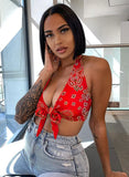 Printed V-neck Crop