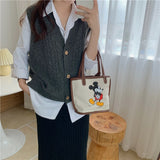 loose sweater spring autumn Women's vest knitted vest v neck joker knitted vest womens vests winter outerwear plus