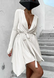 Casual Long Sleeve Plunge Neck Mini