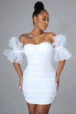 Sexy Puffed Lace Short Sleeve Off Shoulder Bodycon