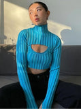 Casual Hollow out High neck Long Sleeve Crop