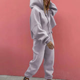 Autumn Winter Two Piece Set For Women Tracksuit Harajuku Hooded Sweatshirt And Elastic Waist Long Pant 2021 Solid