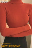 Turtleneck Women Sweaters Autumn Winter Tops Slim Pullover Knitted Sweater Soft Warm Pull Basic For Women Jumper