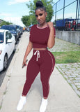Tight Fitting Crop Top and Pants Casual Two Piece