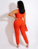 Sexy Sleeveless Crop Top And Pant 2 Piece