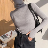 Winter Pullover Women Turtleneck Sweaters Casual Soft Heaps Collar Knit Sweater Women 2022 Basic Tops Warm Jumper