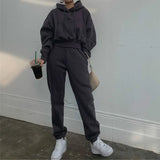Autumn Winter Two Piece Set For Women Tracksuit Harajuku Hooded Sweatshirt And Elastic Waist Long Pant 2021 Solid