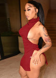 Winter Sexy High Neck Backless Mini Dress 618-1-Outfit
