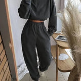Solid Women Zipper Stand Collar Tops Autumn Winter Two Piece Sets Splice Full Sleeve Elastic Waist Straight Long Pants Set-Outfit