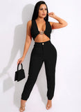Sexy Sleeveless Crop Top And Pant 2 Piece