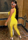 Party Sexy Hollow Out Sleeveless Mesh Bodycon