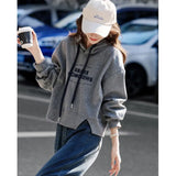 Toloer 2025 New Solid Color Shirt Slim Fashion Shirt Elegant Temperament Commuting OL Chiffon