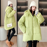 2024 Winter New Korean Department Is Simple And Versatile Casual Loose Small Thick Warm Hooded Padded Coat-Outfit