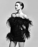 Dress 2025 New Shoulder Long-Sleeved Feather Dress For