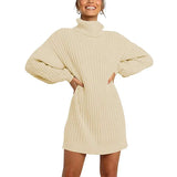 Toloer And Winter New Women's Turtleneck Medium Long Sweater Sweater